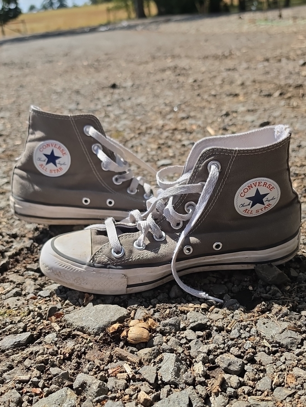Converse Kids Gray High-Top Sneakers with White Accents